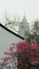 D61EEFE1-600C-4652-8A9F-B24F203152E3/L0/001