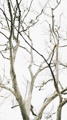 CE4B9970-B157-43E2-8151-4114C371E8BC/L0/001