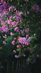 0E3F2E58-AFF0-4CC5-8951-186D17777AA5/L0/001