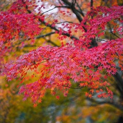 394F8CB1-037B-449F-A52F-3FA3F194DB77/L0/001