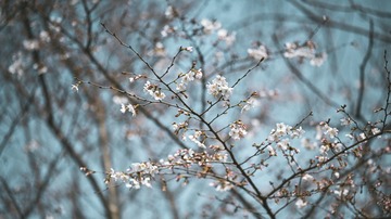 86B7F548-BA67-4A21-BA7D-04D5FE6A29A8/L0/001