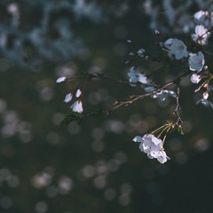 7C14BE96-D0D8-4ADB-BD68-B3CA3ED5EB37/L0/001