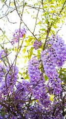 57D26DB0-74C9-4355-8650-8CCCABA0ADF5/L0/001