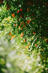 12C1315E-FA42-4520-8CB4-9C91D5D96782/L0/001