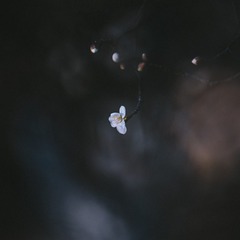 FD6CB4D7-6348-4AF0-981D-F6C6D602F022/L0/001