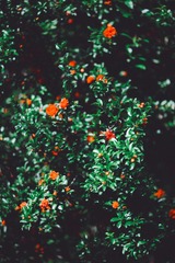 91392831-716F-4873-85CD-58C4DDED6461/L0/001