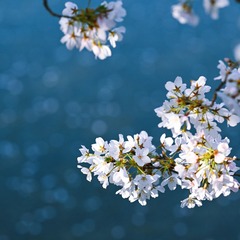 E782EBB8-7D22-4BEE-9AAA-5FBB6C30A84A/L0/001