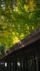 D8B66FB4-3C60-4E8A-BFD3-D5992F48C223/L0/001