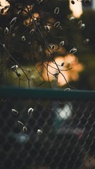 FCCEB324-0F49-4A96-AE68-CC3092CF412B/L0/001