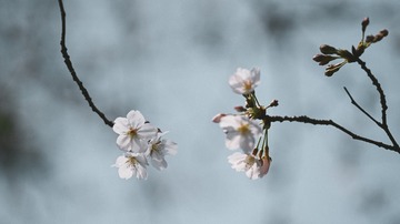 FA5B6604-D89A-4A81-A836-D29D6B1A85B9/L0/001