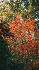 D4765451-4E8D-410C-9100-6E86594F8FAD/L0/001