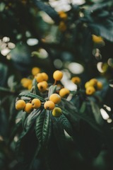 5BA3F910-7B03-45E0-9A88-458A441B6DF0/L0/001