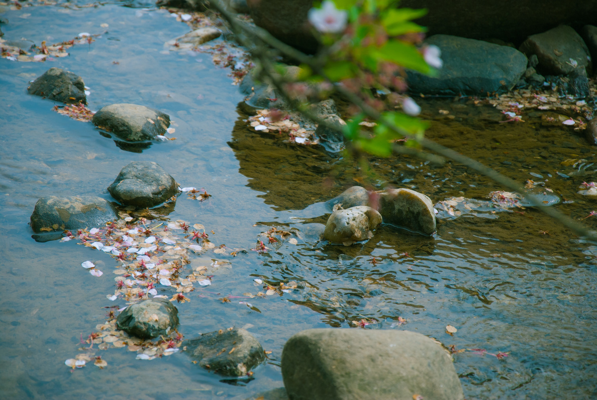 落花流水