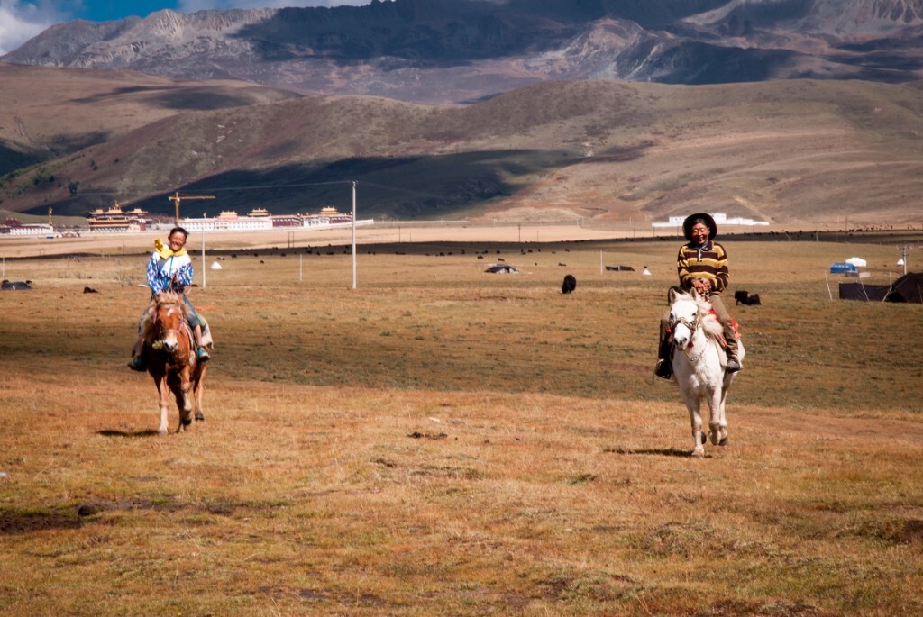 塔公草原上骑着马向我们飞奔过来的爷孙俩