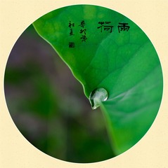 003