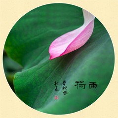 010
