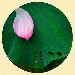 005