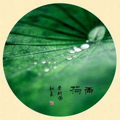 004