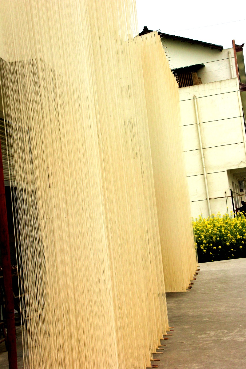 中国中江空心挂面高5米宽8未