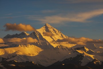1263860