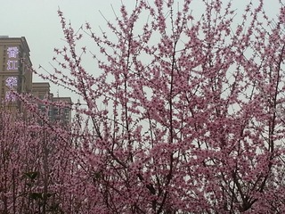20150312_184856