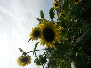 20150606_163518