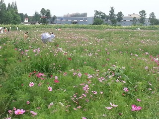20150606_161855