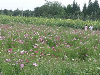 20150606_161833