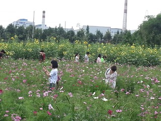 20150606_161820