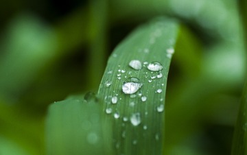 _IGP8067
