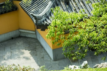 _IGP8761