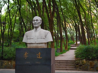 PC110384