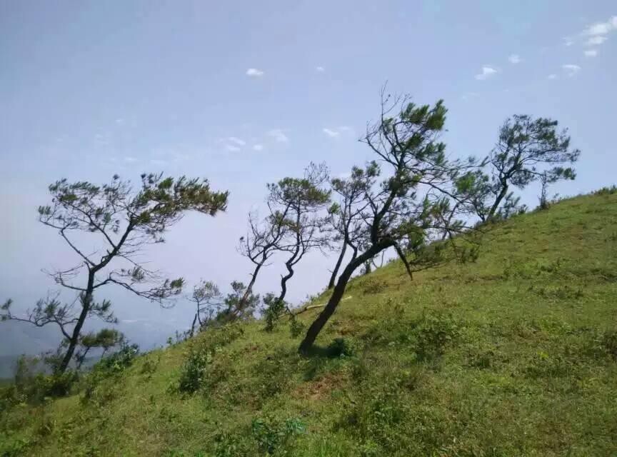 往事随风飘。