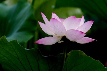DSC03608_