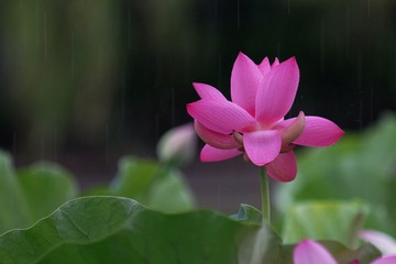 DSC03612_