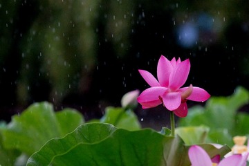 DSC03623_