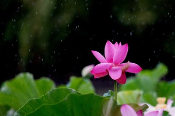 DSC03624_