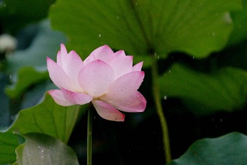 DSC03631_