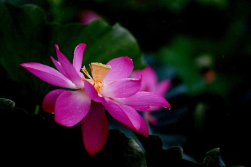 DSC03638_