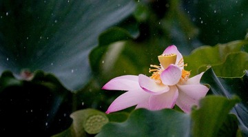DSC03644___
