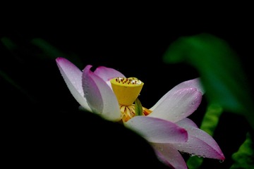 DSC03665_