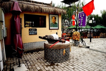 DSC00980_