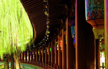 DSC05875_压