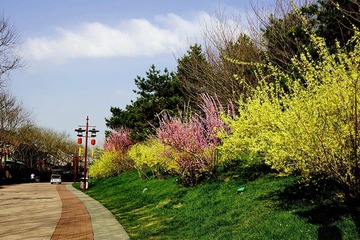 DSC05722_压
