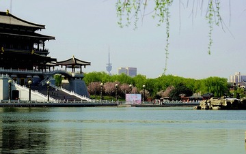 DSC05429_压
