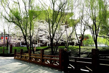 DSC05731_压