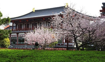 DSC05742_压