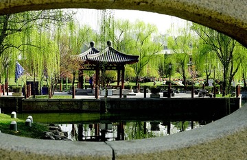 DSC05795_压