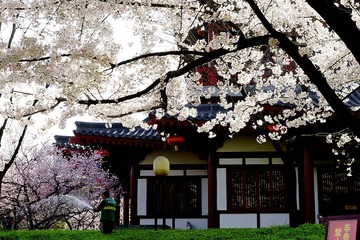 DSC05961_压