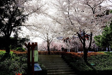 DSC05964_压